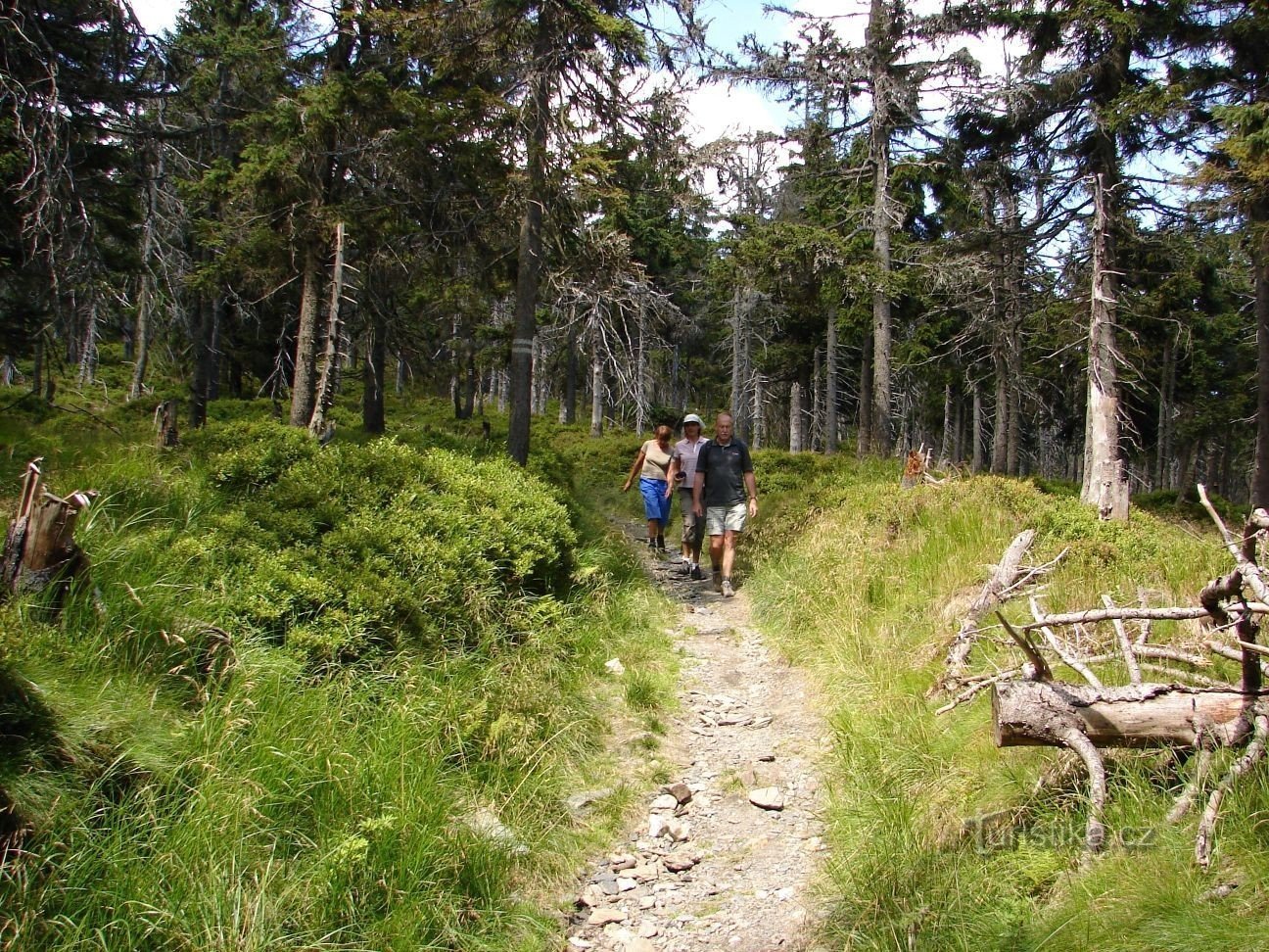 Đường đi bộ theo đường viền dưới sườn núi chính của Dãy núi Jeseníky