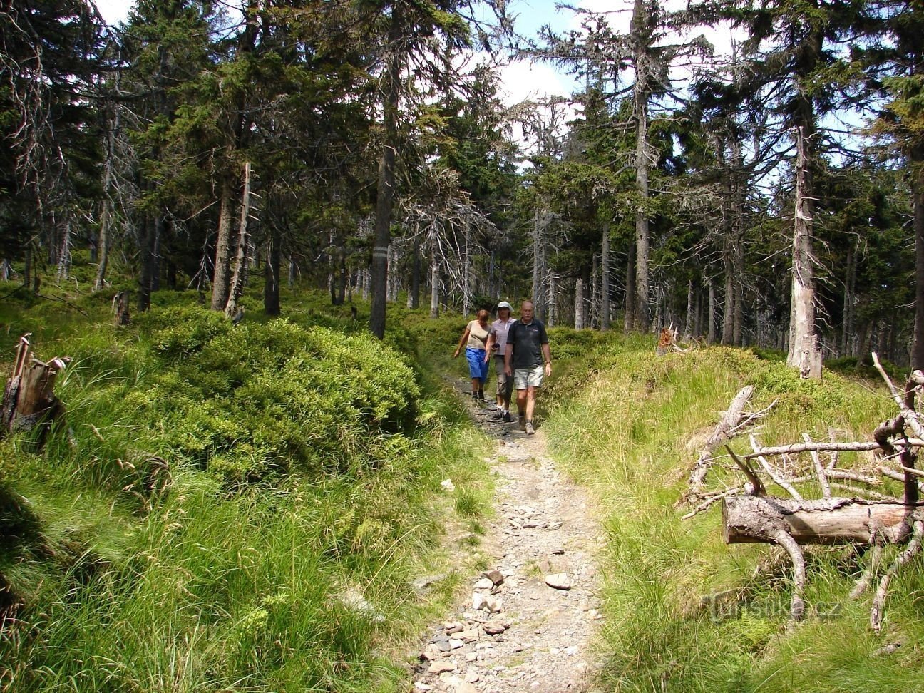 イェセニーキ山脈の尾根の下にある等高線の遊歩道