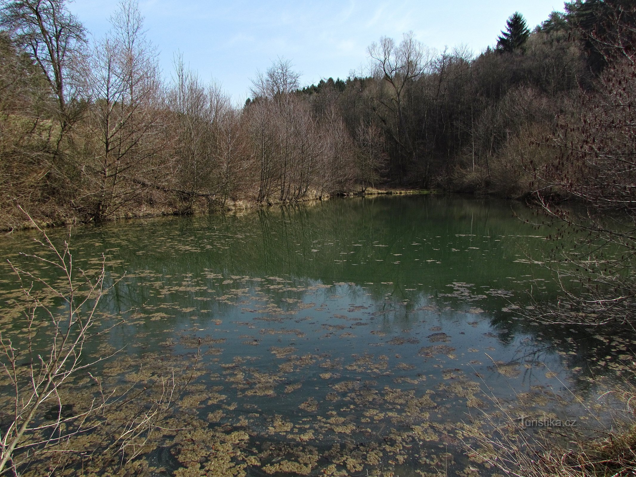 Všeminský rybník V Jamach