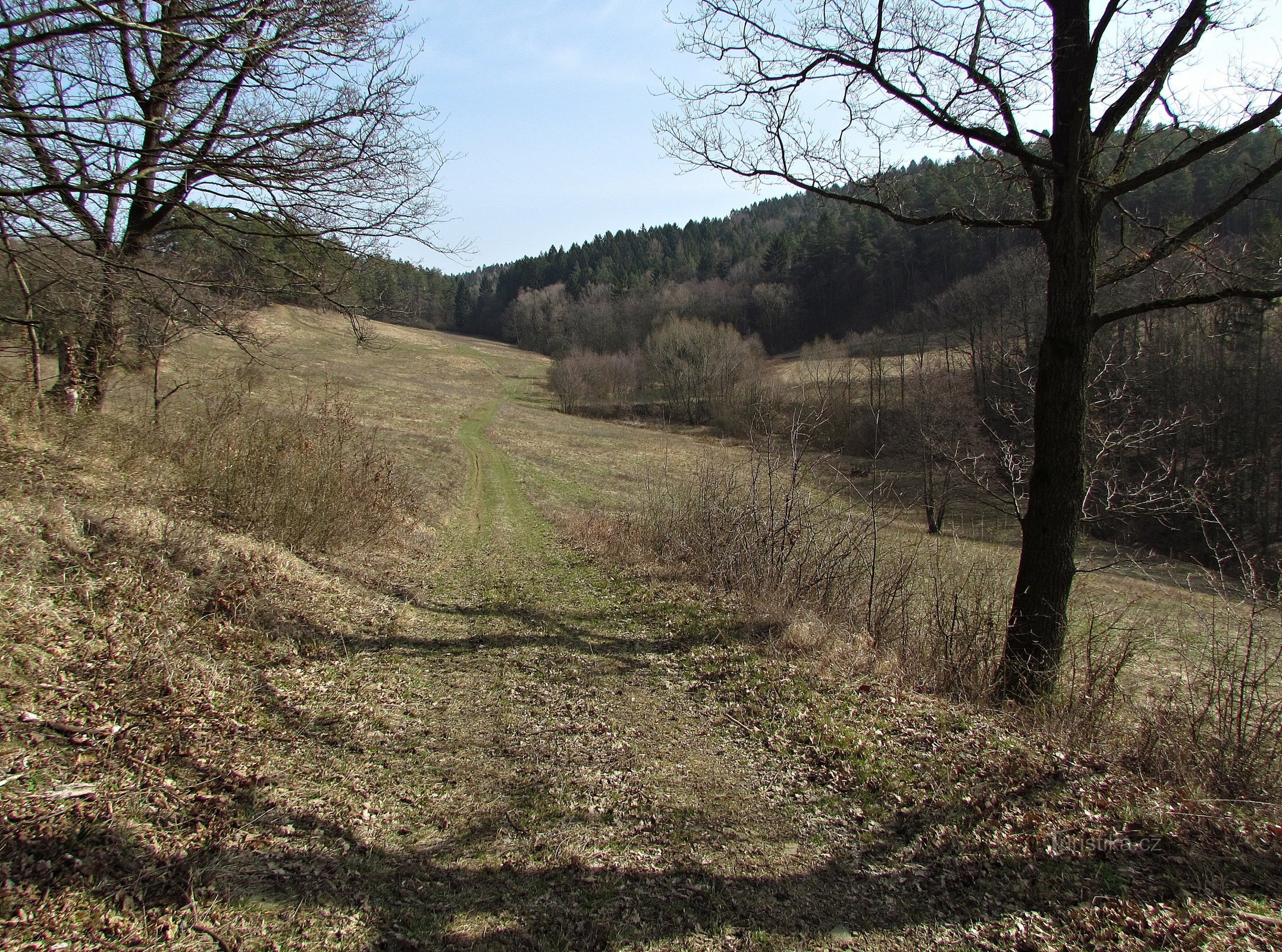 Všeminský rybník V Jámách