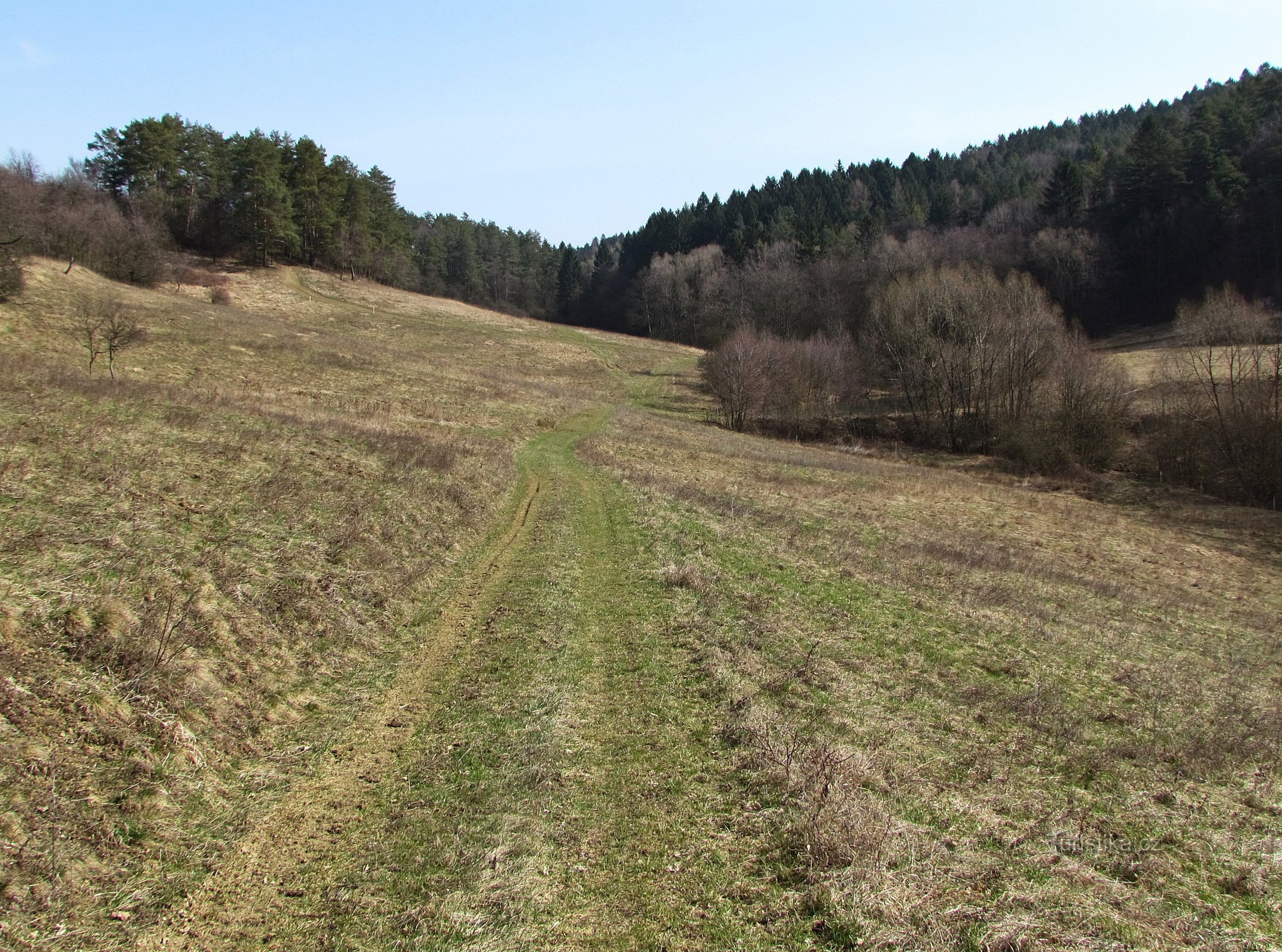 Všeminský rybník V Jámách