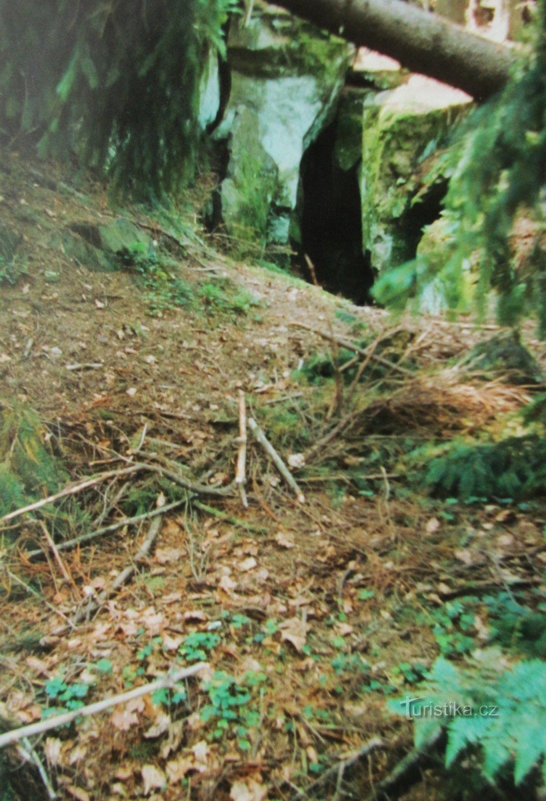 entrée du hall principal