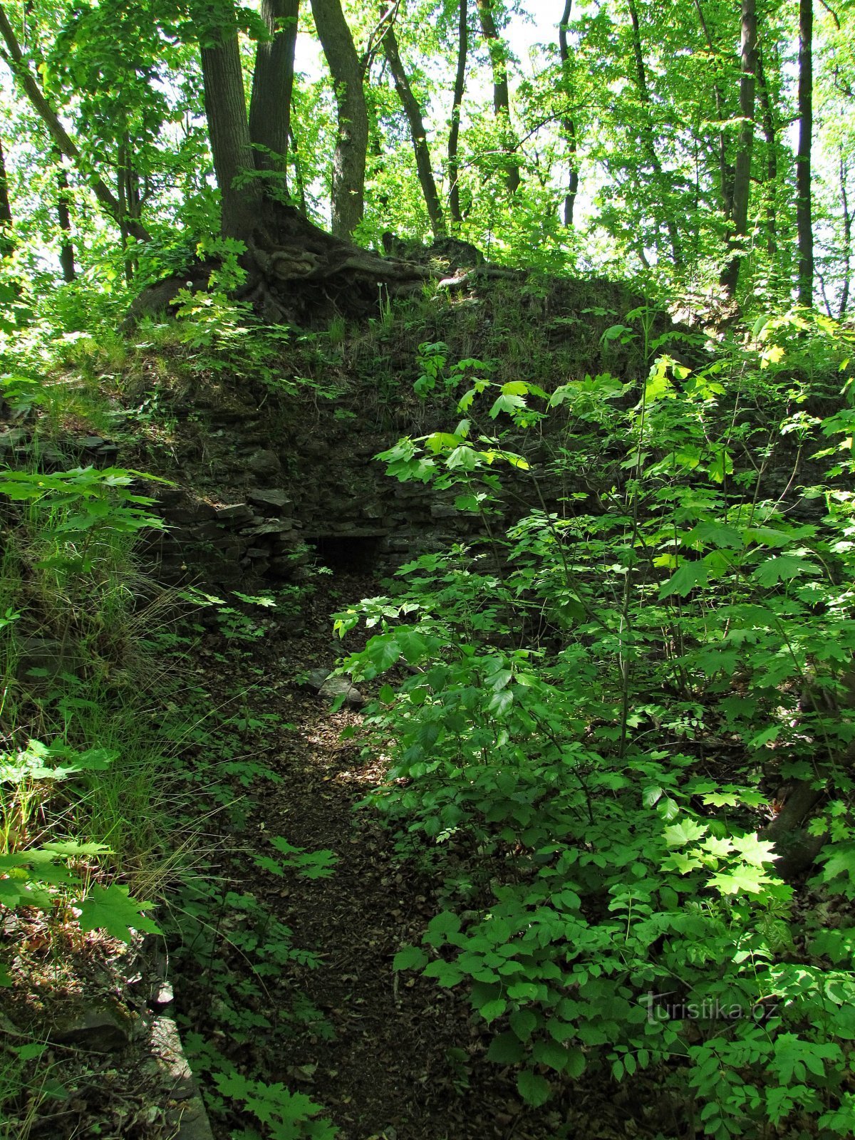 intrarea în miezul castelului