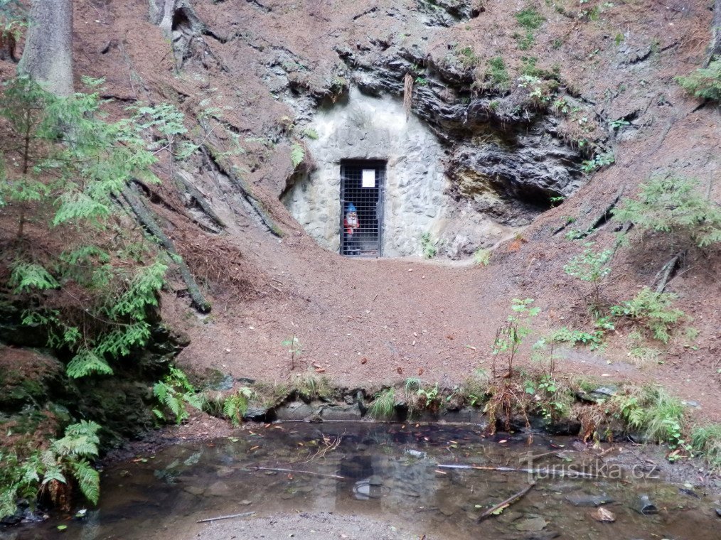 Entrada al agujero de Mert