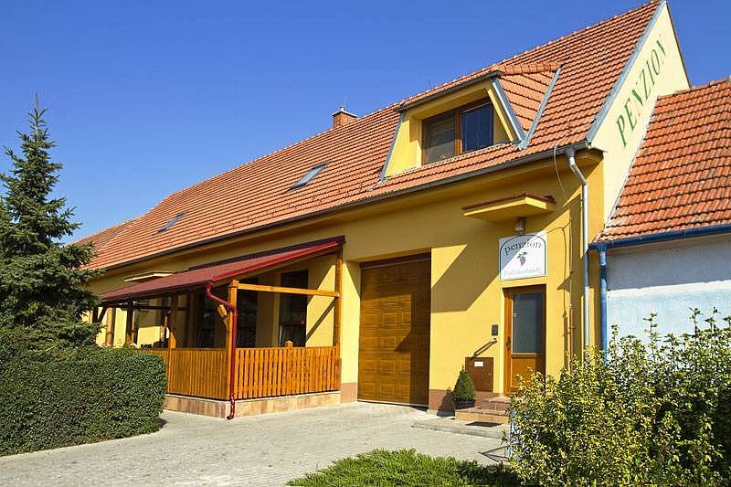 entrance to the guesthouse under the vineyards