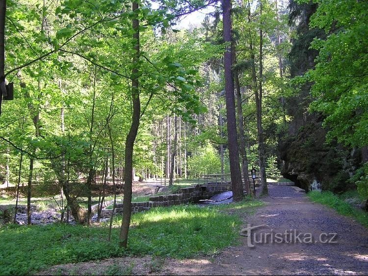 Eingang zum Reservat: Hinter dem Parkplatz in Jetřichovice.