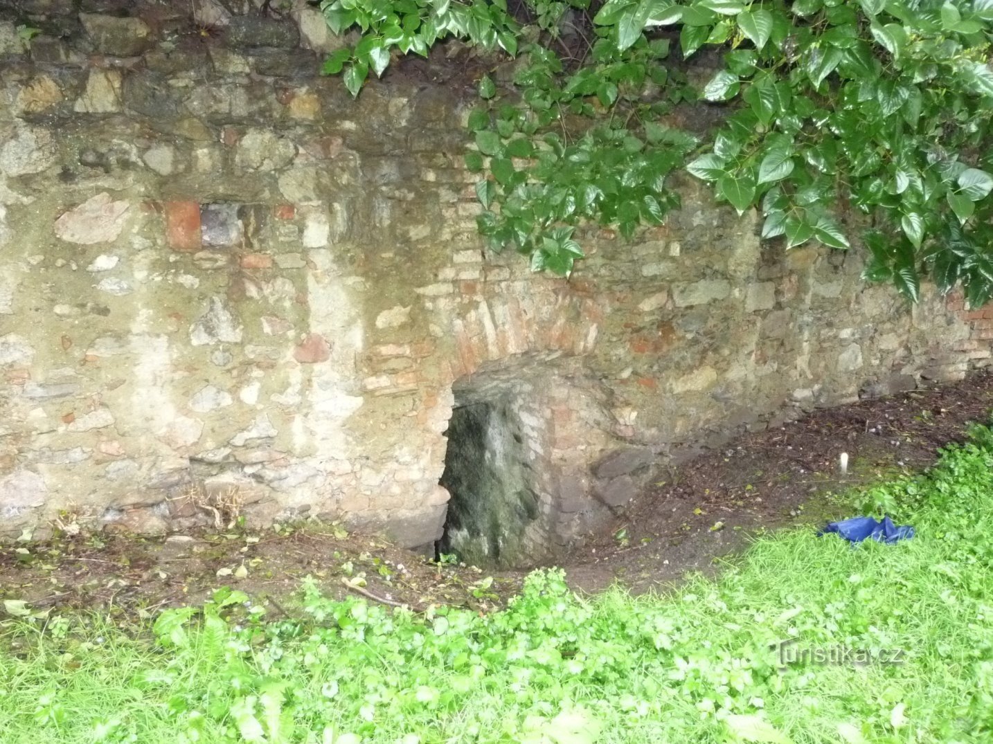 Entrance to the cellar in the SW wing