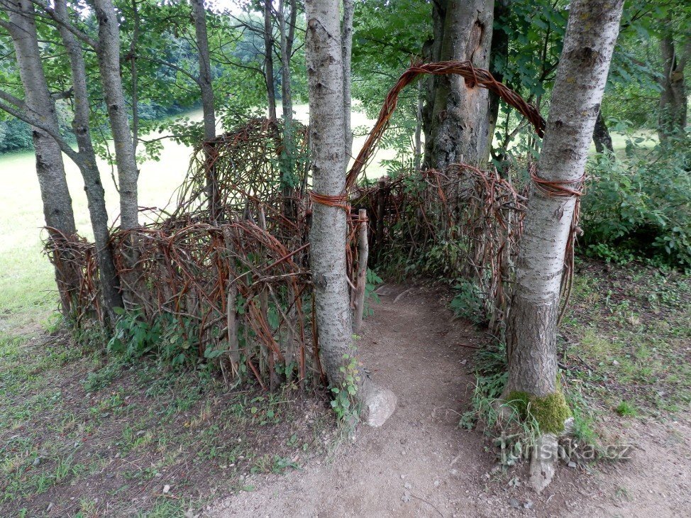 スズメの迷路への入り口