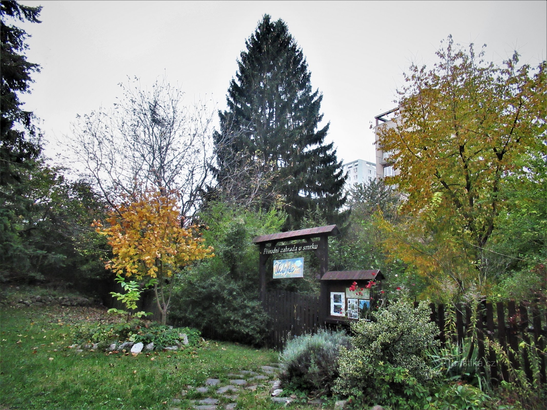 Eingang in den Garten, der von einer massiven Fichte dominiert wird, von der Ramešová-Straße