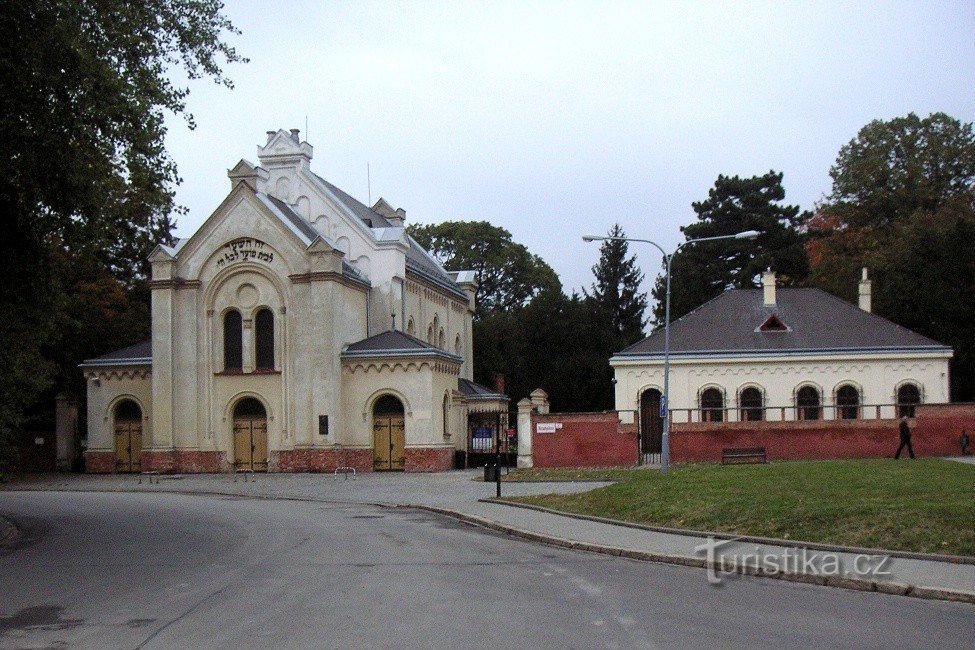 Część wejściowa