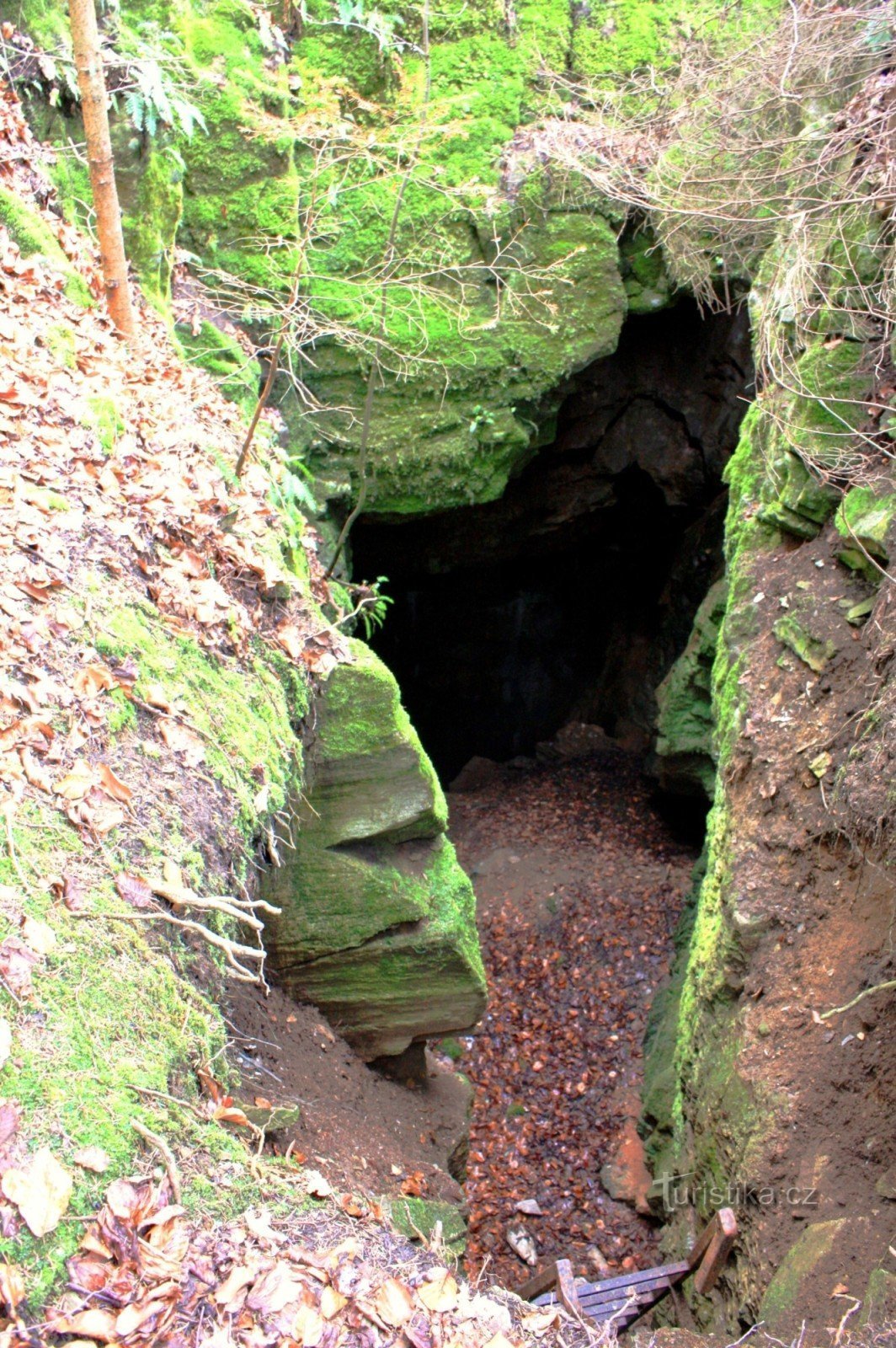Vstupní propasťovitá část Vratíkovské jeskyně