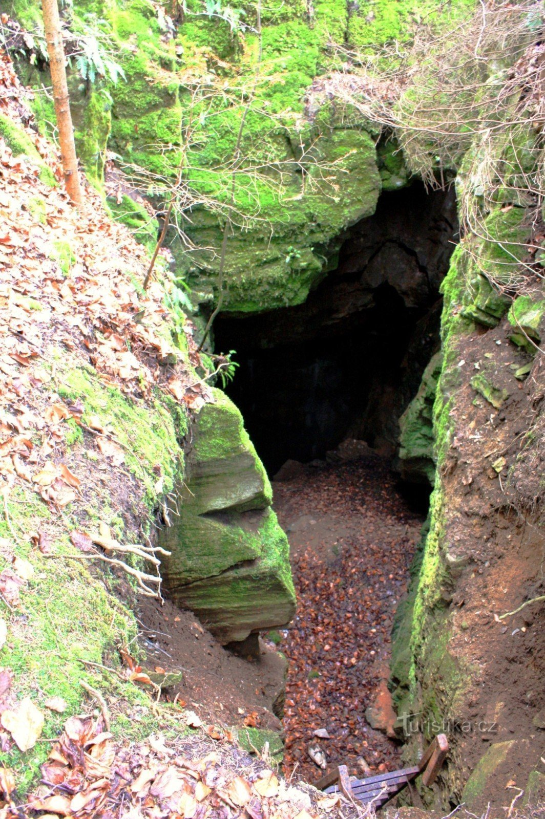 Eingang zum abgrundartigen Teil der Vratíkovská-Höhle