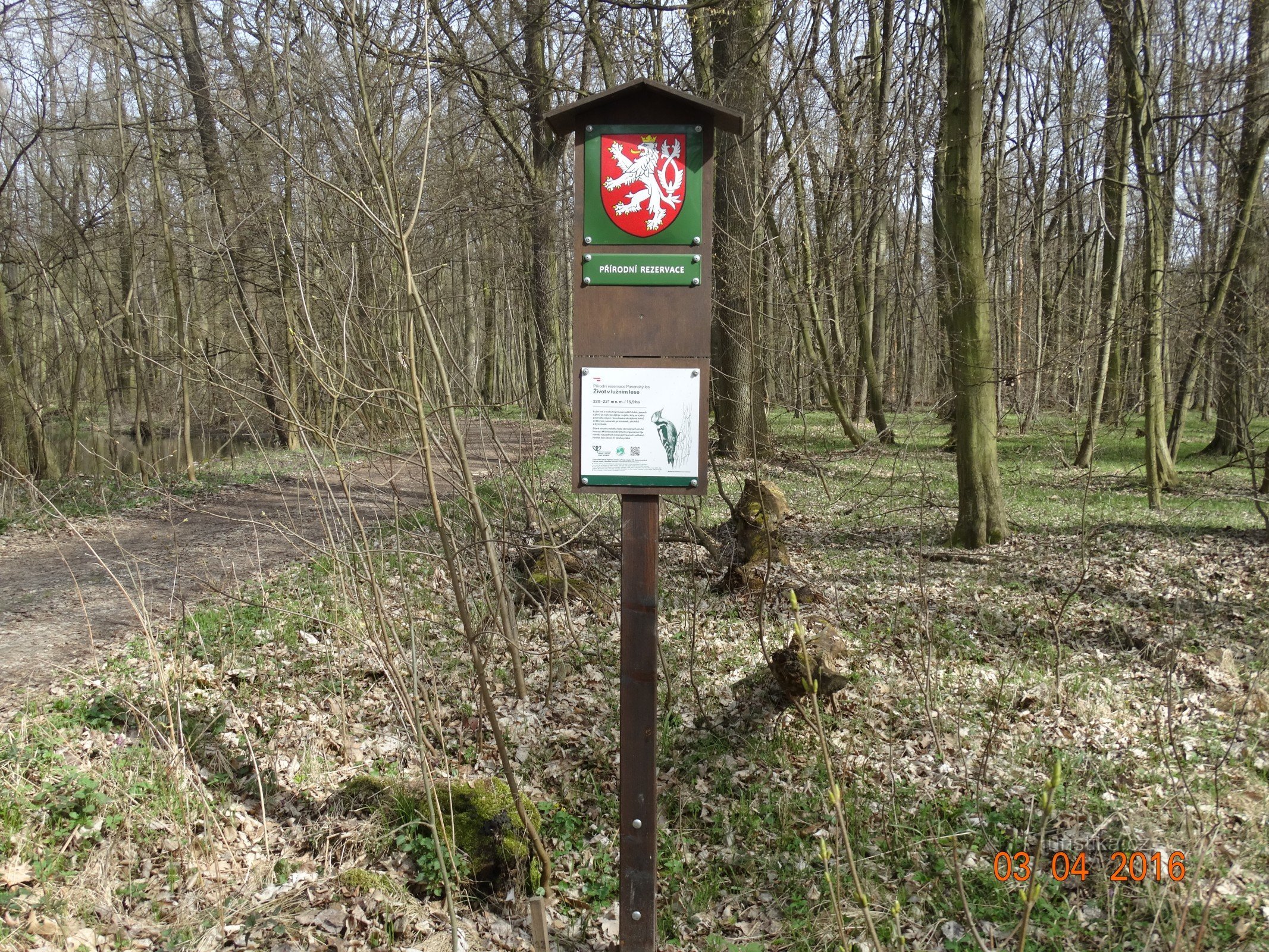 Entramos no reino da floresta de várzea