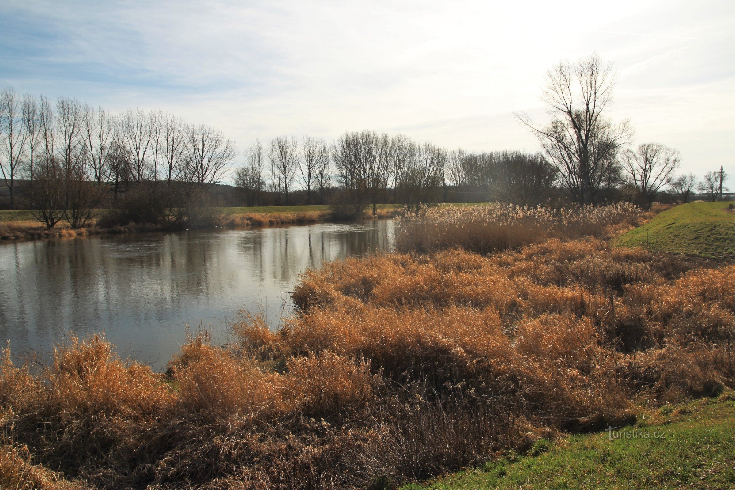 De instroom van de Litobratřický-stroom in de Dyje-rivier eindigt in het kustriet