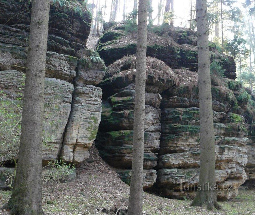 Vůbčar gorge near Staré Splavy