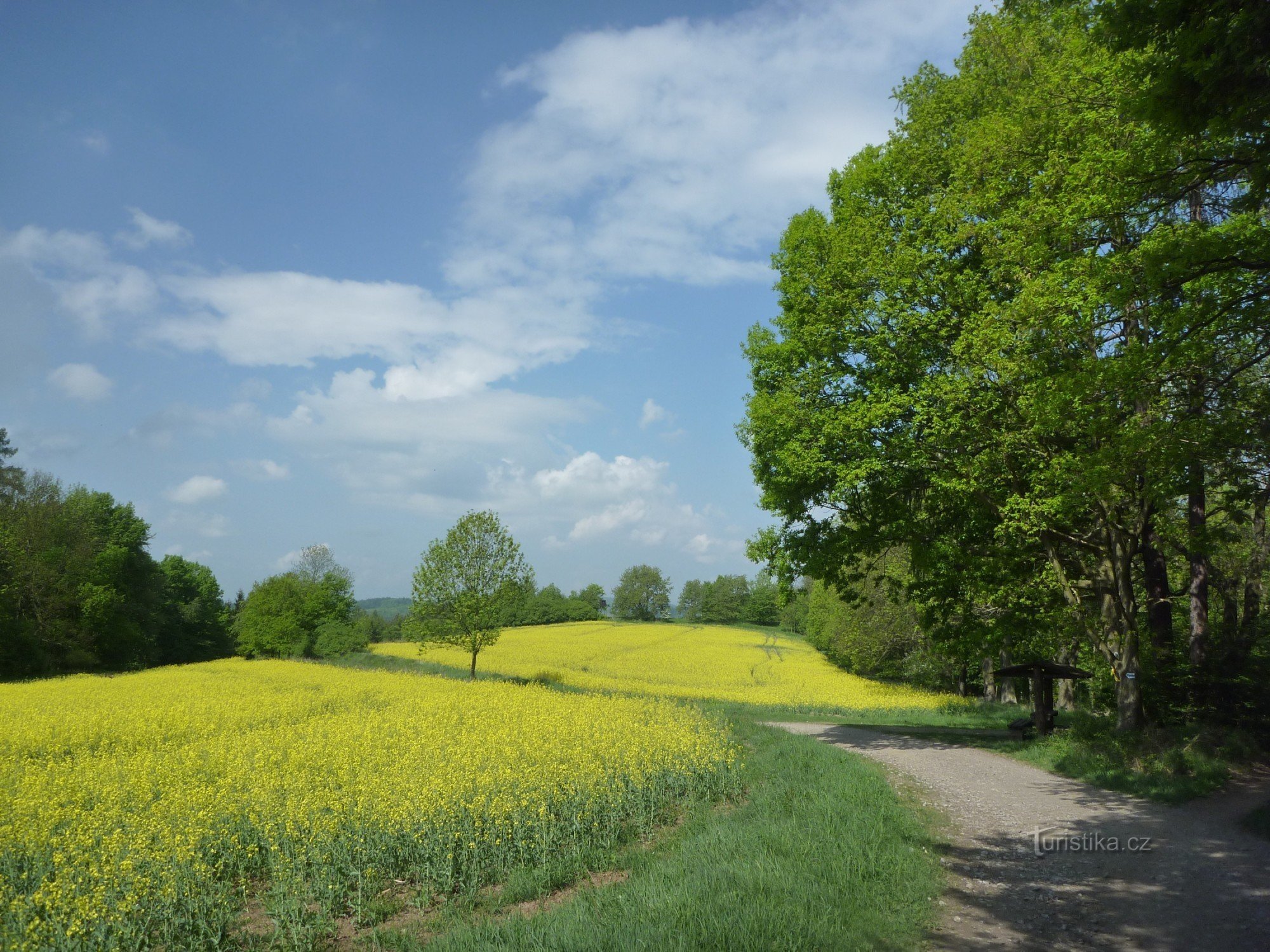 Spaziergang in Posázavím - Hradiště und den Ruinen von Odranec und Stará Dubá