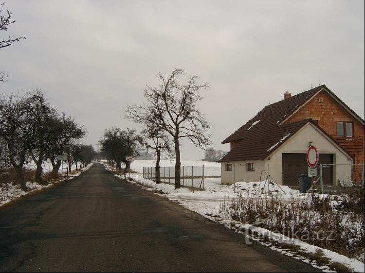 La région Est du village de Sulice