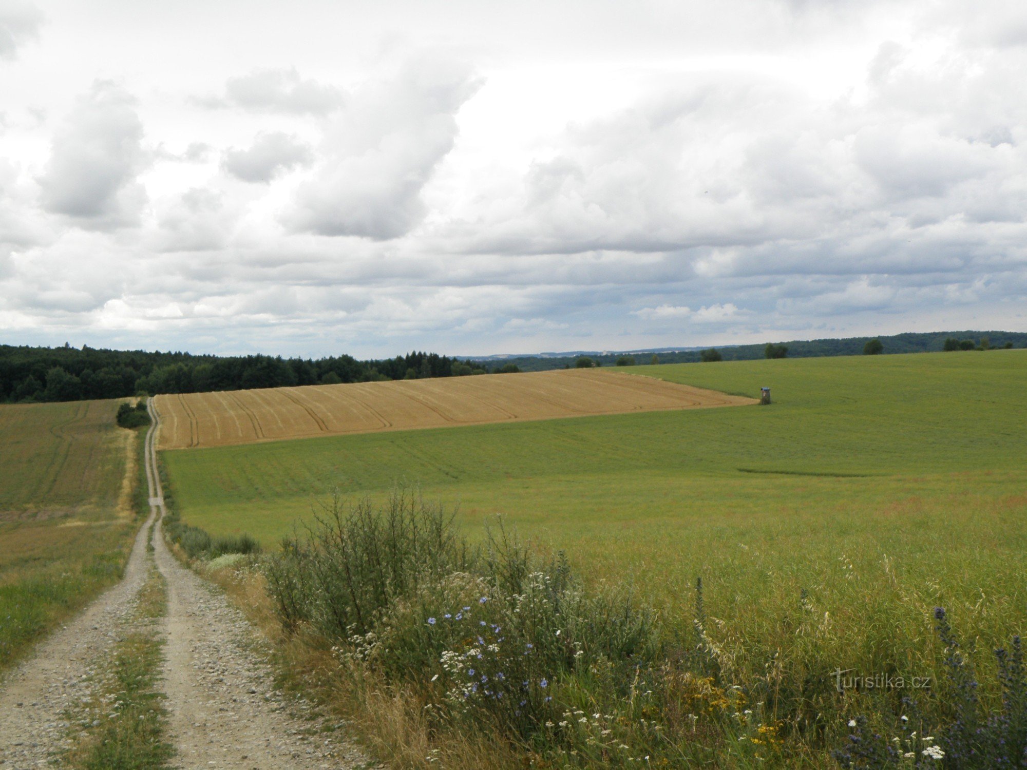 strada campestre iniziale al castello