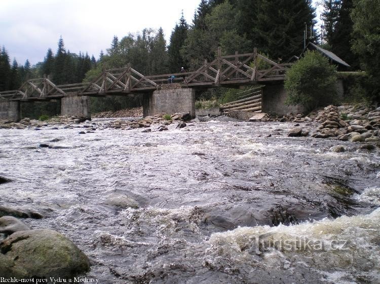 Lontra sotto il ponte del cancello