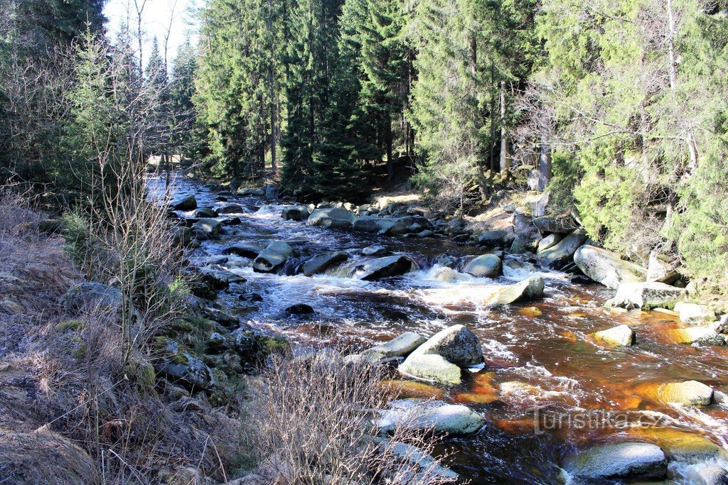 Lontra sob a ponte perto de Antýgl