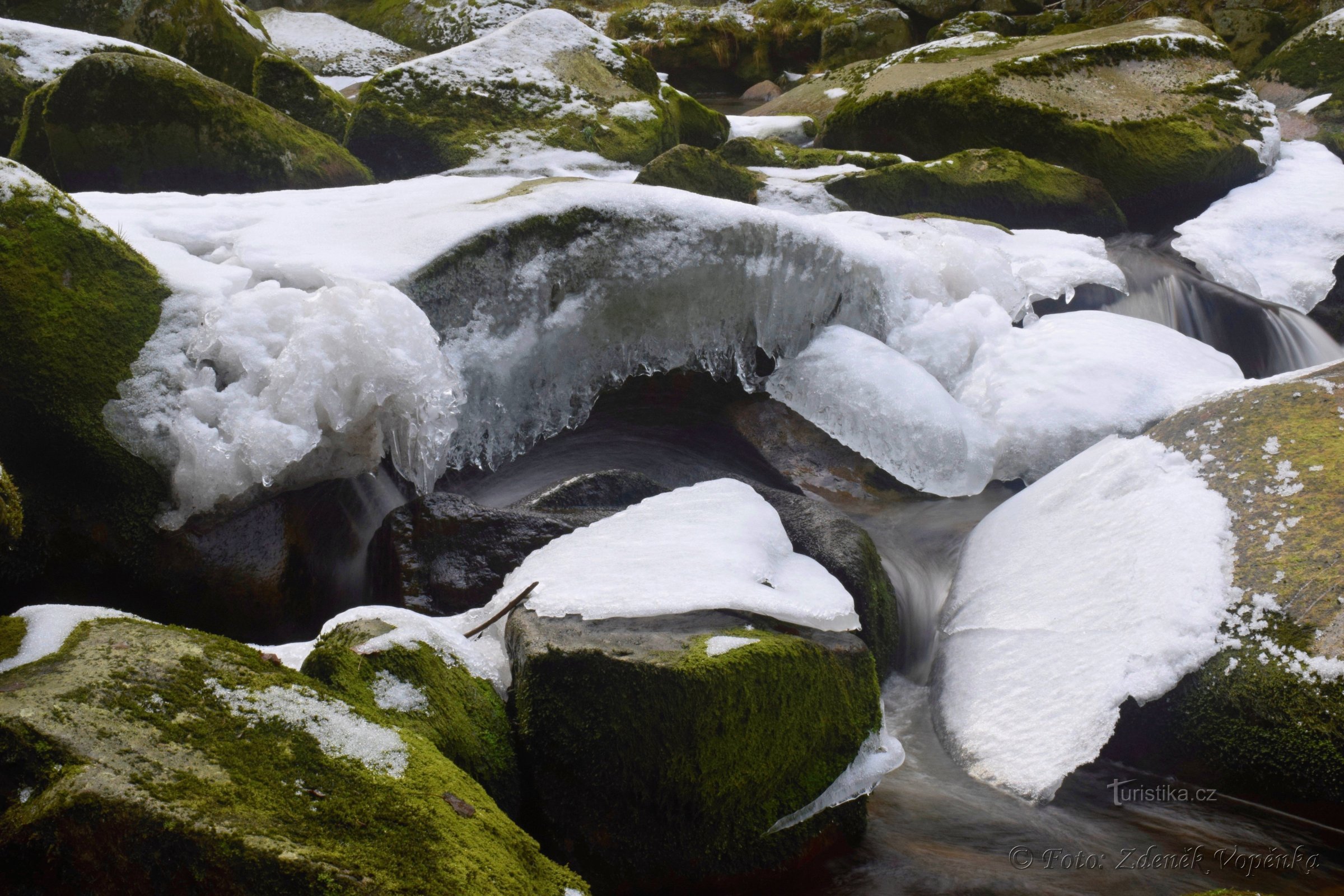 水獭 - 冬季的 Šumava 河。