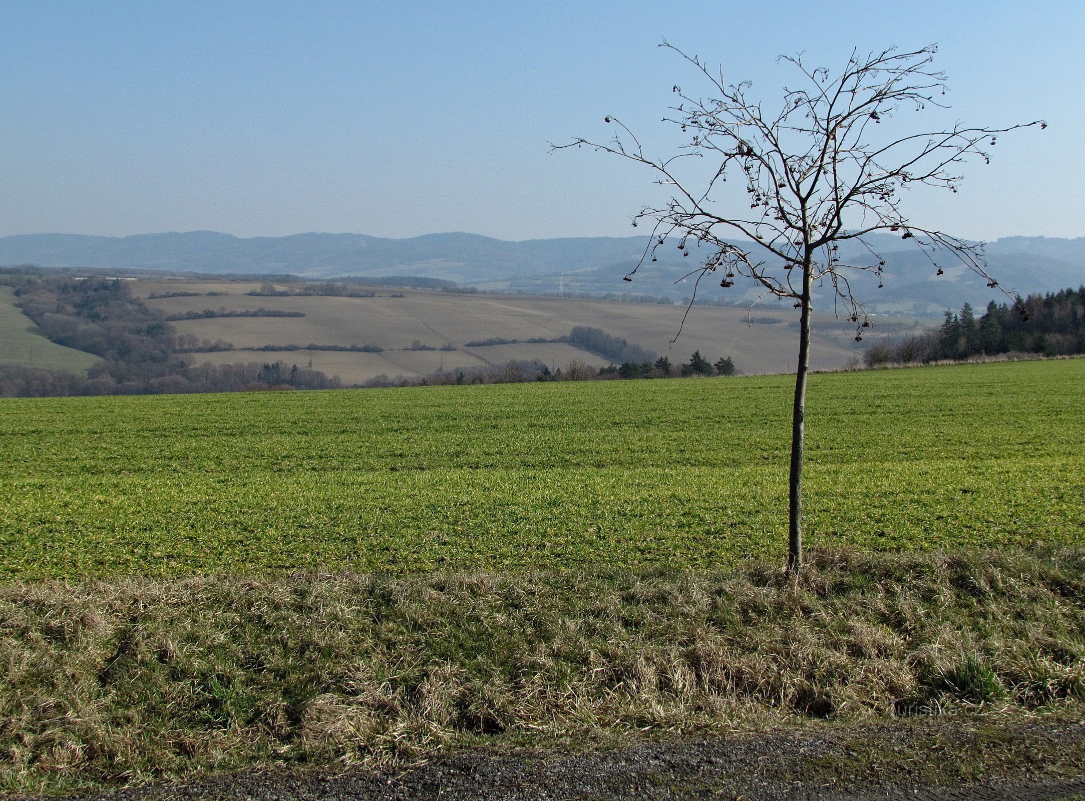 vista del paisaje