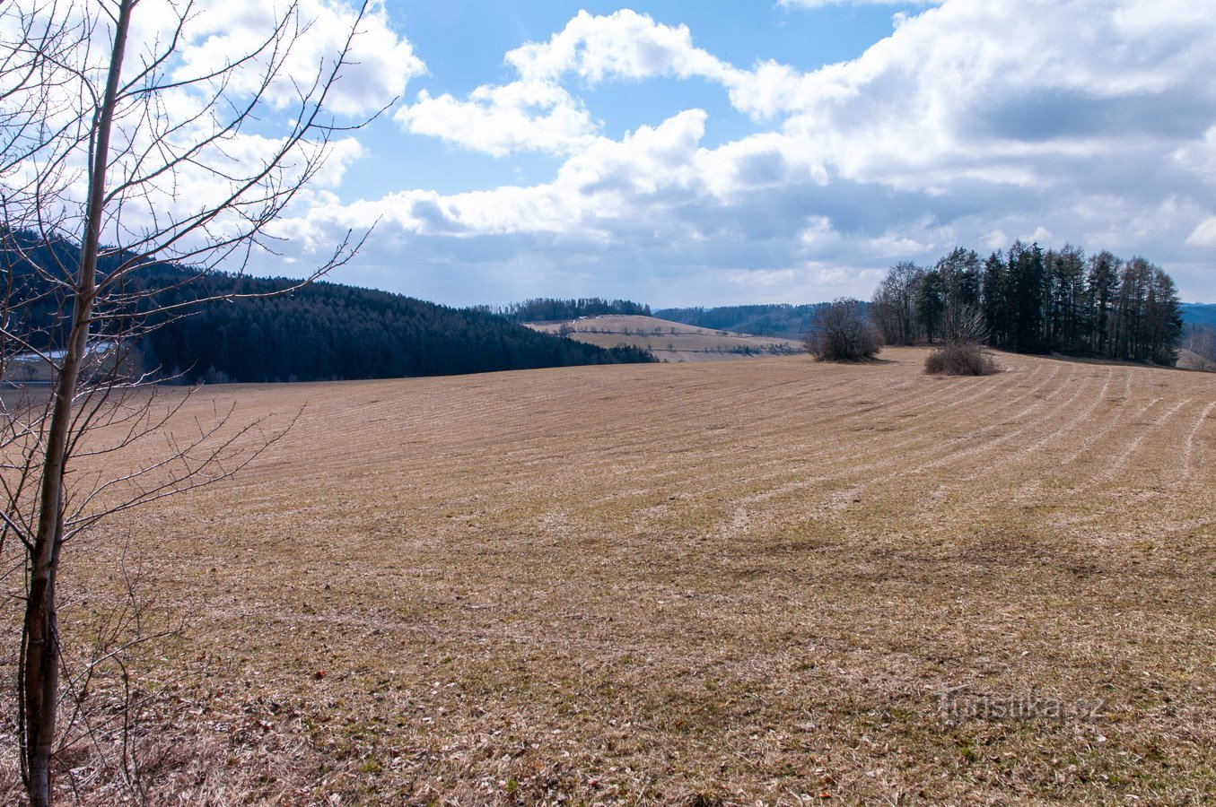 View to Zlatník