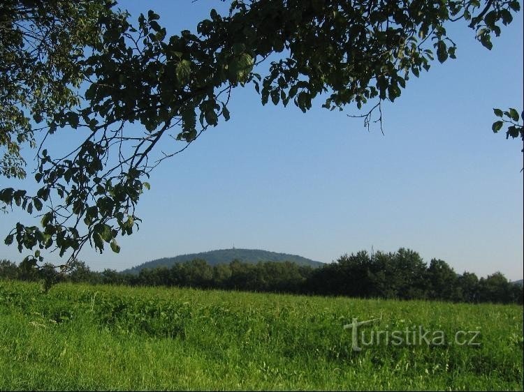 Kilátás a Fehér-hegyre (Koprivnice)