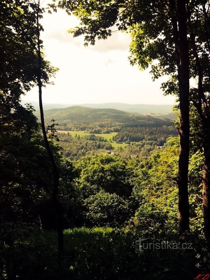 Vista della parte Choda della Foresta Boema