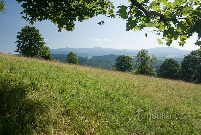 View of Hrubý Jeseník