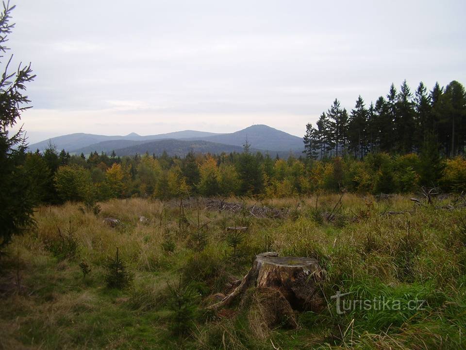 vue sur Jedlová et Luž