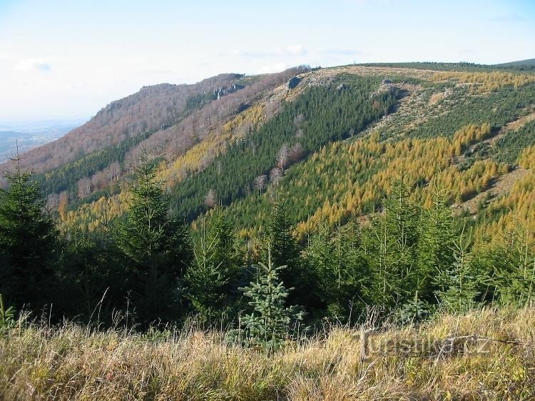 Kilátás a Klínový vrch-re a Předel kereszteződésből
