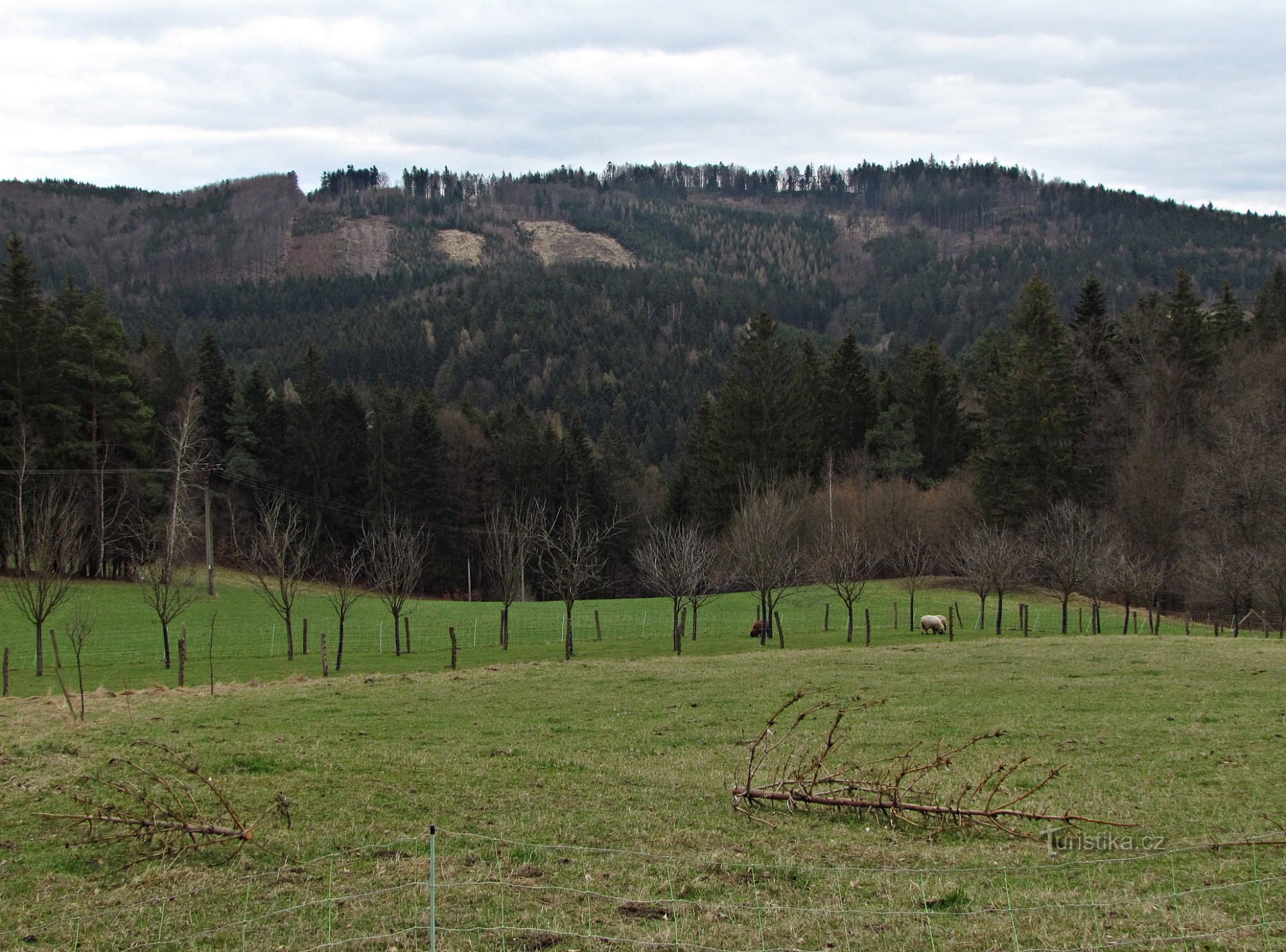 vue de l'opposé Sýkornica...