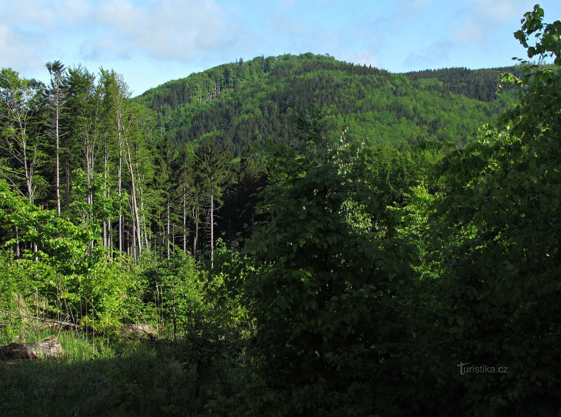 vista de Smrduta