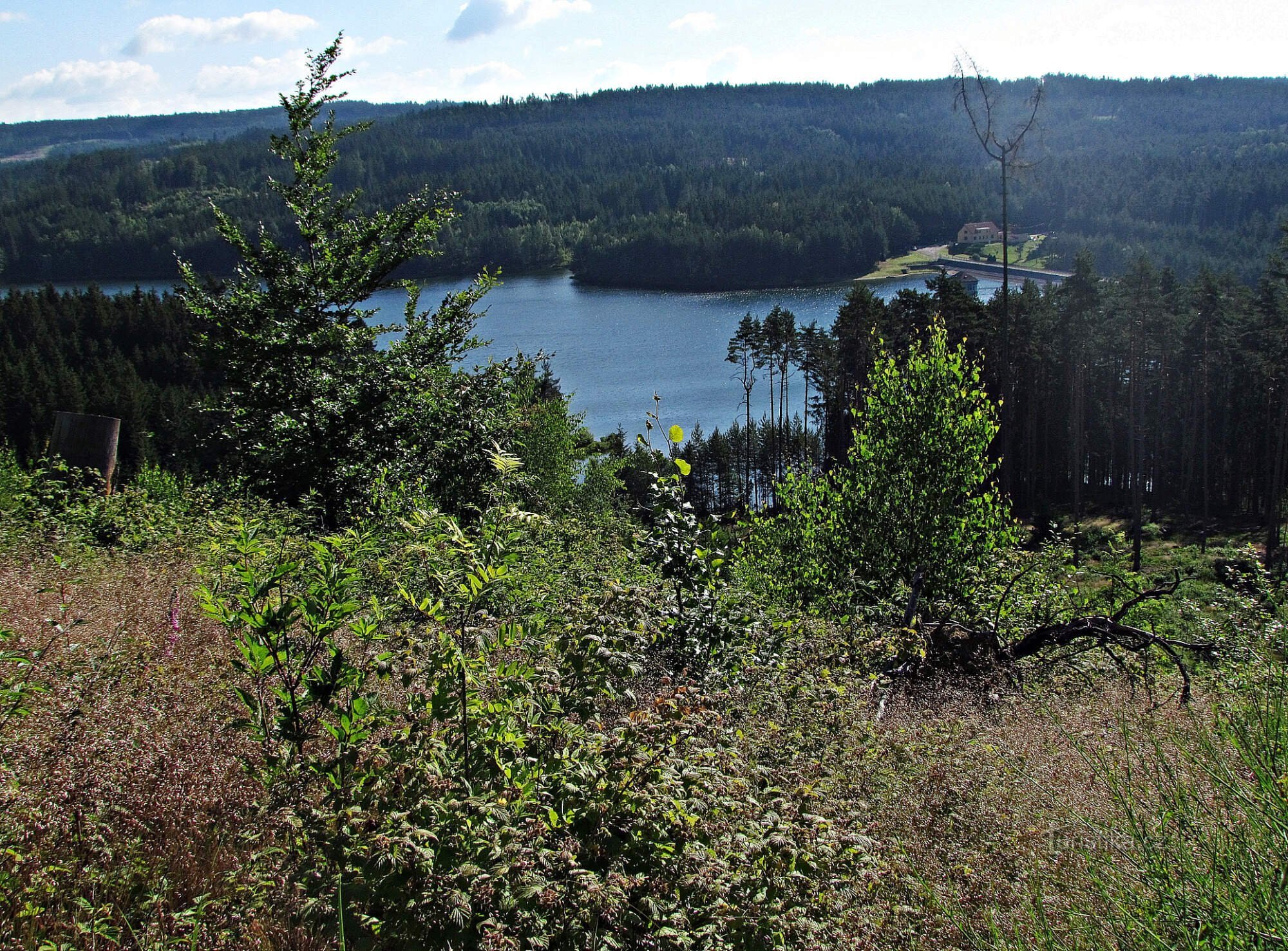 Landštejn 水库的视图