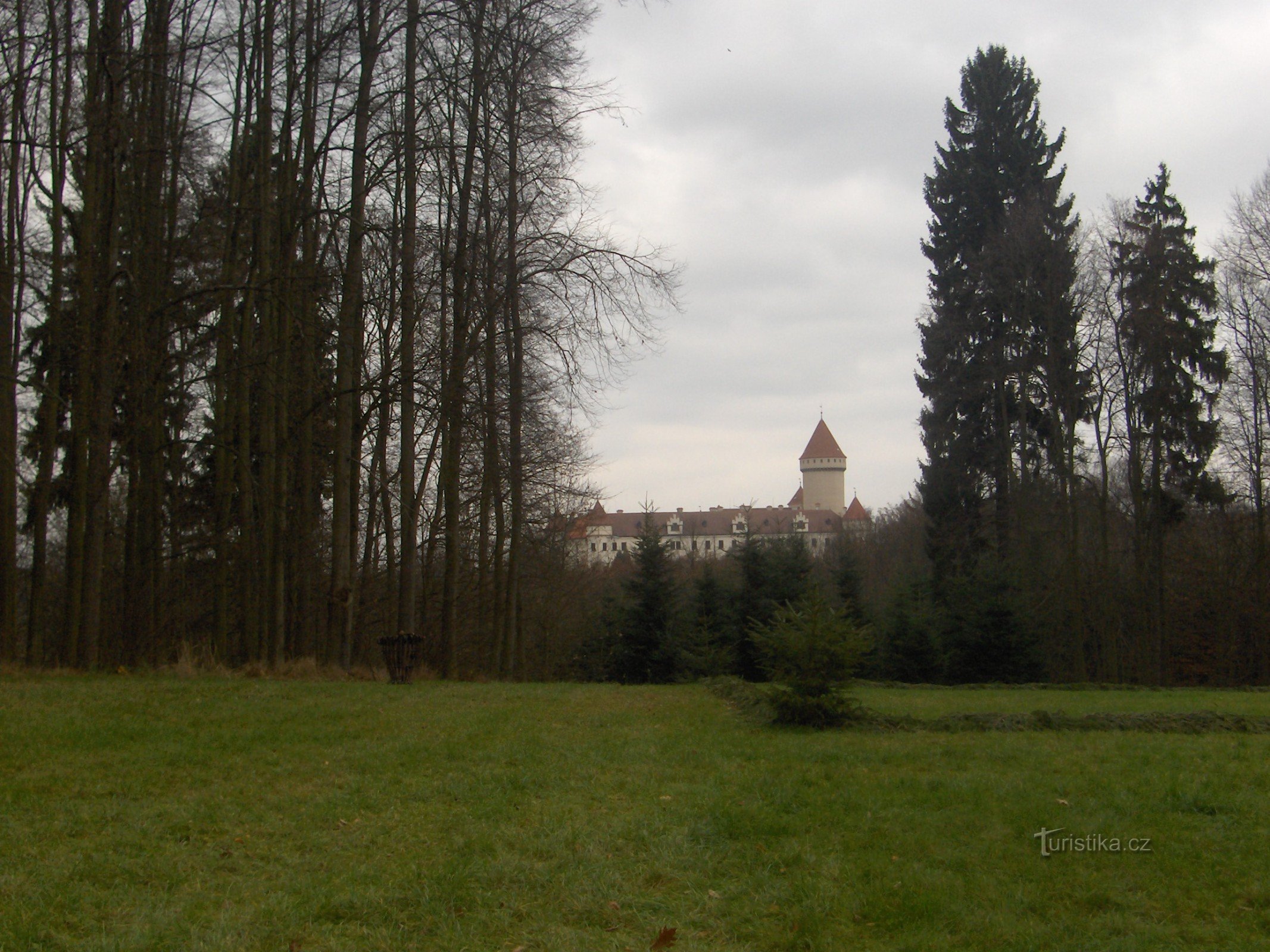 view of the castle