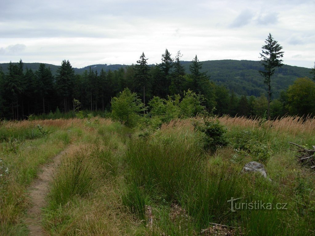 Vista sulla diga di Koryčanská