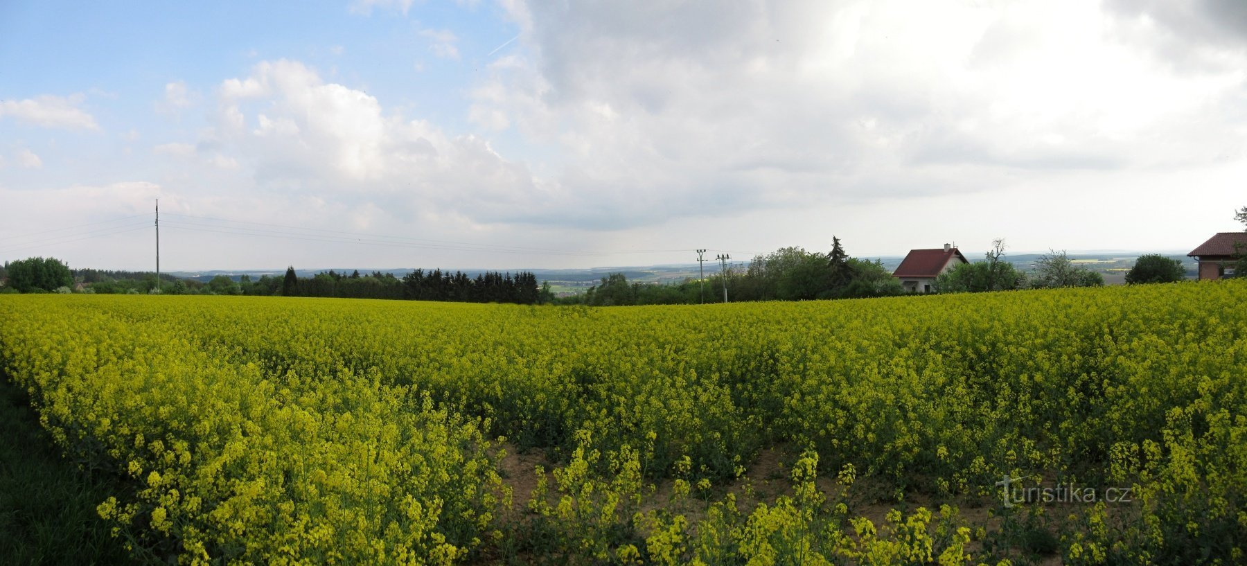 Vue depuis la base de la tour d'observation