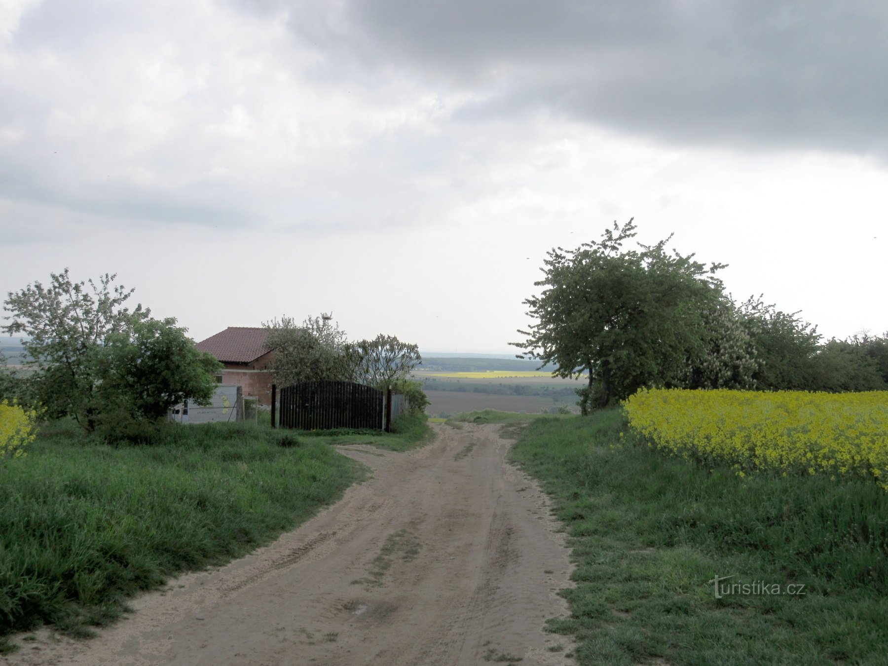 Der Blick vom Fuß des Aussichtsturms