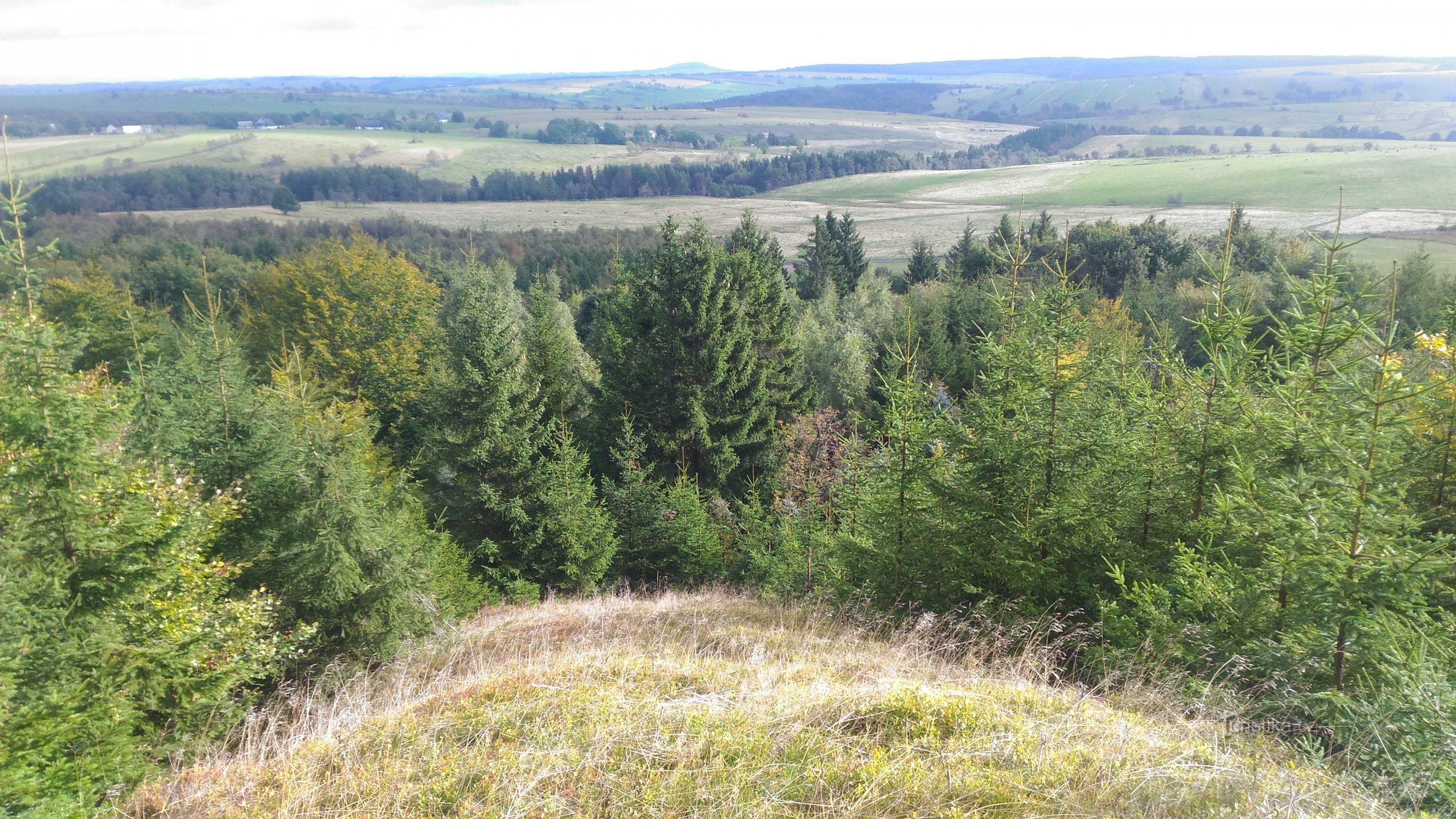 Blick vom Sprungturm