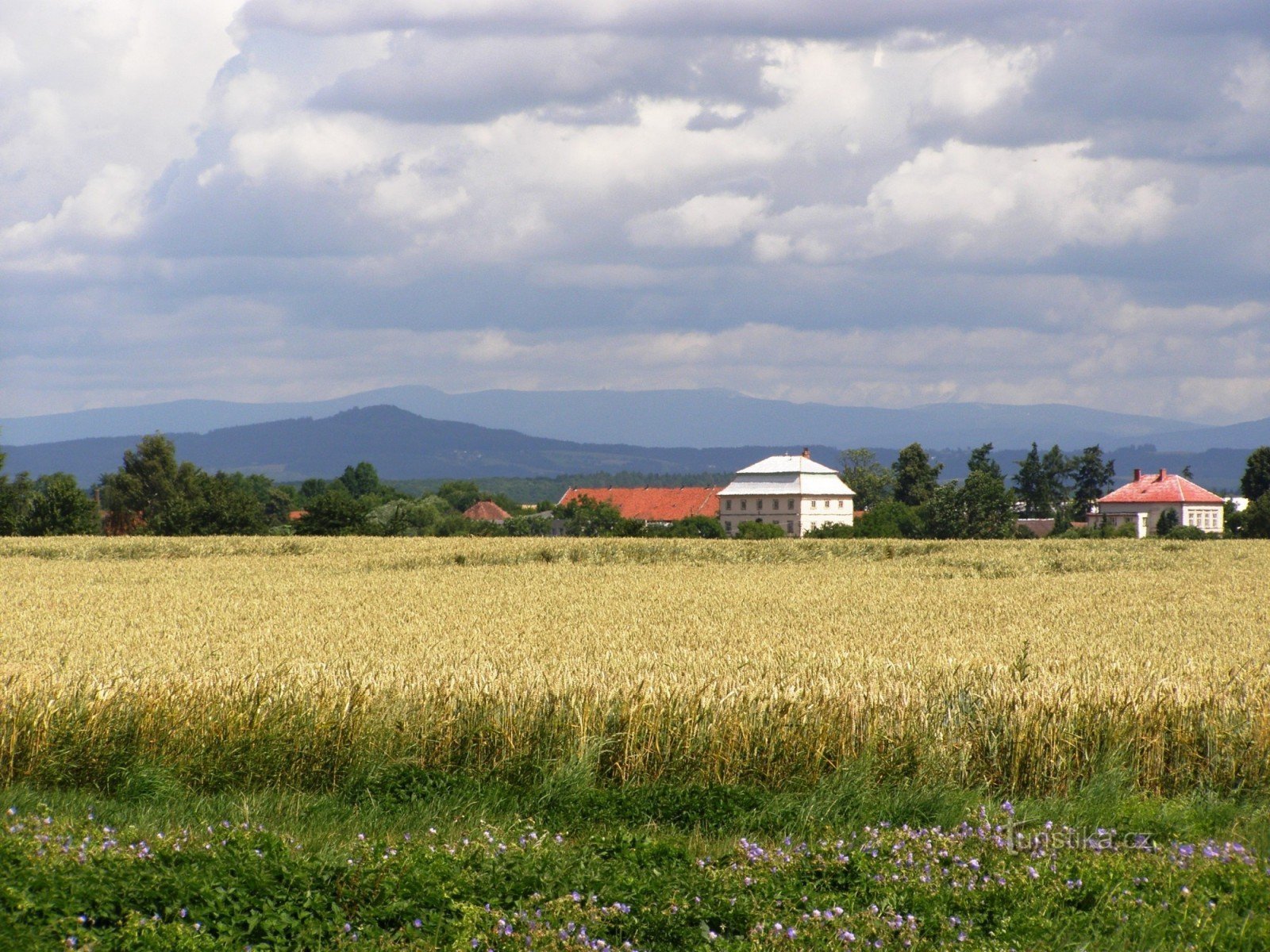 widok z Volanic na północ Karkonoszy i Kumburk