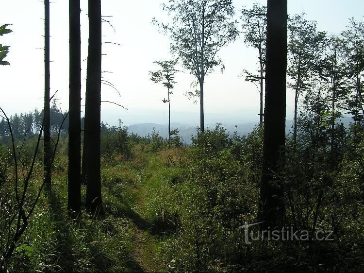 Vista sotto il cartello