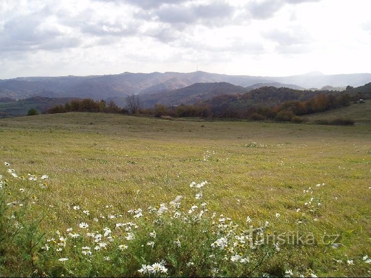 Blick auf Buková hora