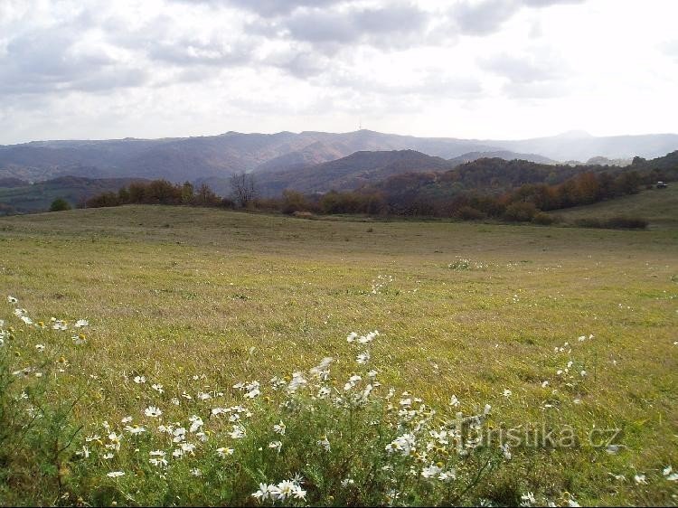 Vedere spre Buková hora