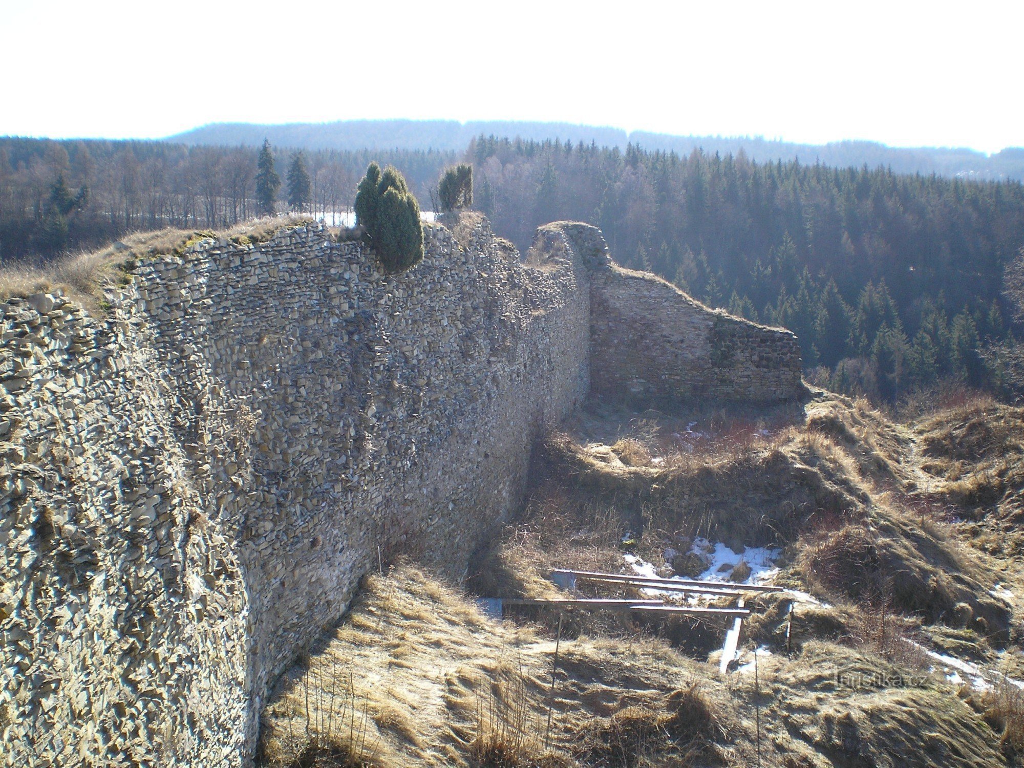 Vista dalla torre