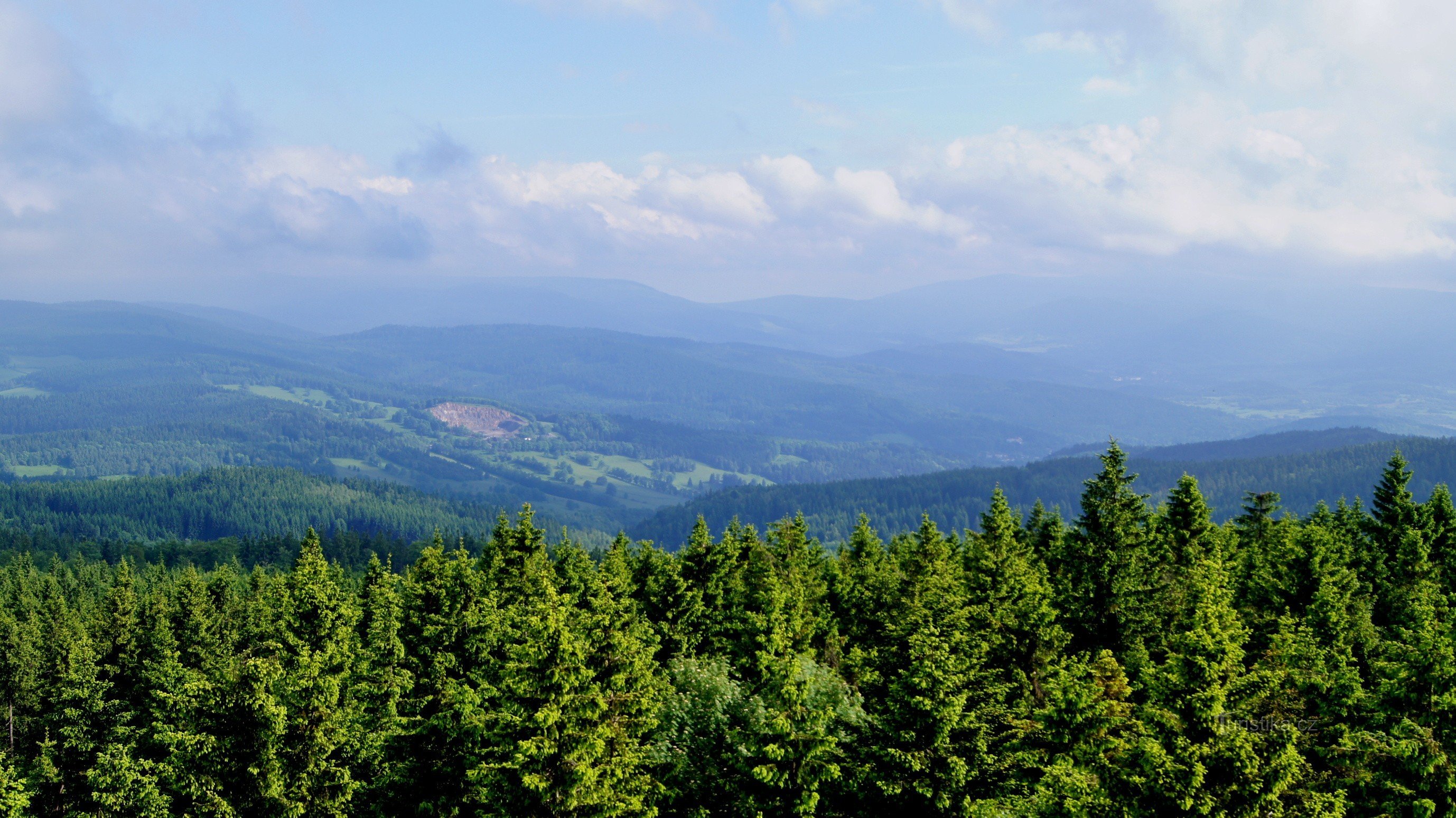 Widok z wieży