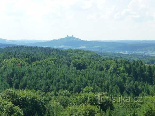 widok z wieży widokowej Dubecko