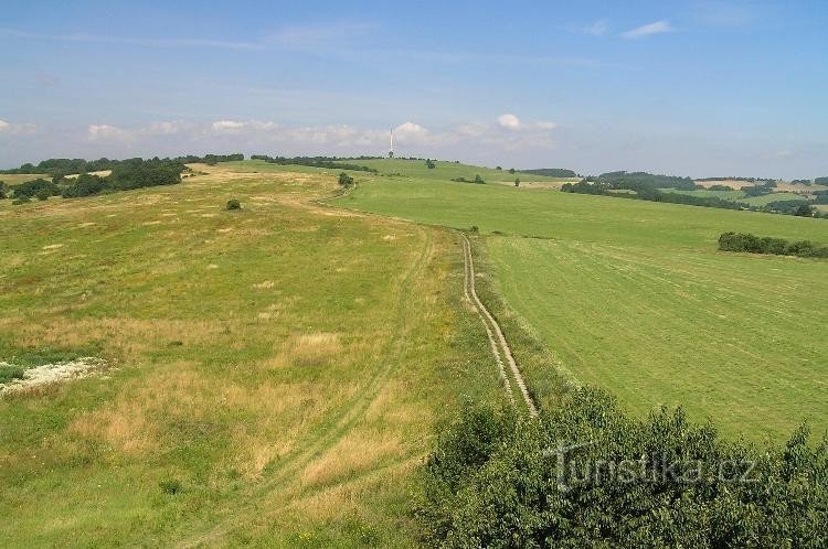 Aussicht vom Aussichtsturm: Blick auf Buková hora