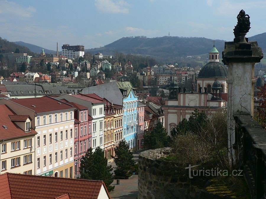 Widok z ogrodu różanego