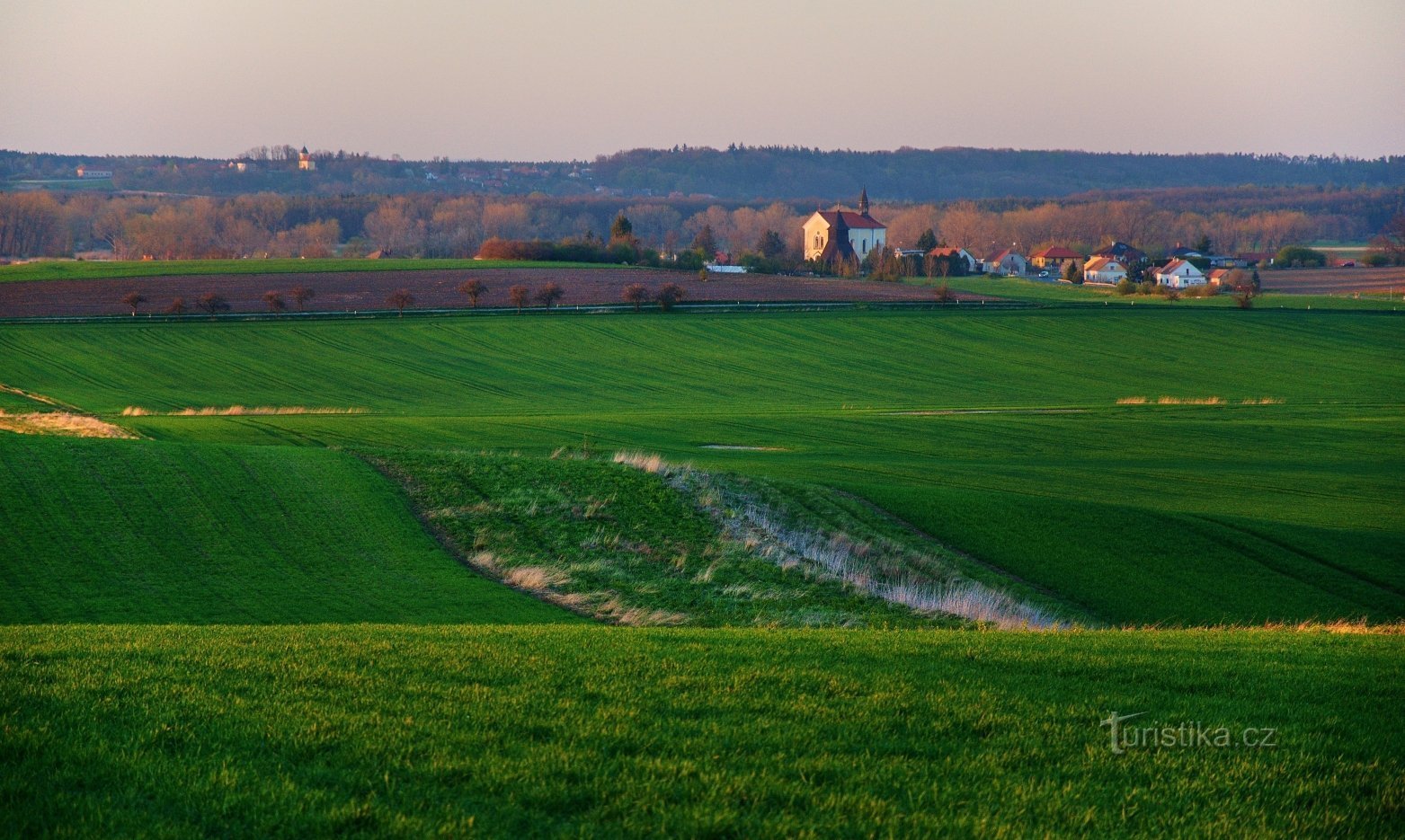 Vista do grande Hořánek para a aldeia de Horní Ředice e a borda florestal da tabule Orlická